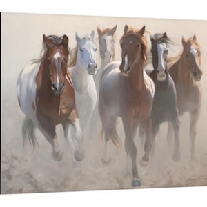 May include: A group of seven horses running through a dusty field. The horses are all different colors, including brown, white, and black. The horses are running in a line, with the lead horse in the center of the image. The horses are all running with their heads held high and their tails flowing in the wind.
