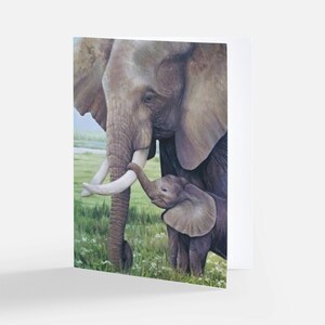 Paquet de cartes de correspondance éléphant, variété