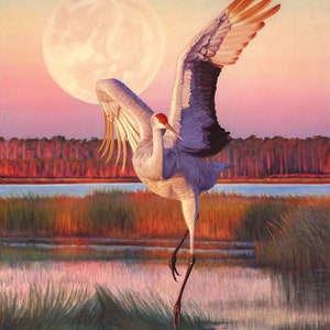 A Lovely Dancing Sandhill Crane Painting with Moon - Wall Decor in Southern Sunset - Very Limited Edition Canvas Print - Signed by Artist