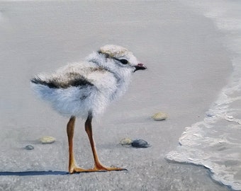 First Dip - Piping Plover Chick Bird Seashore Wildlife Art with Ocean Waves - Giclee Canvas Print Beach Style Home Decor - Nature Wall Art