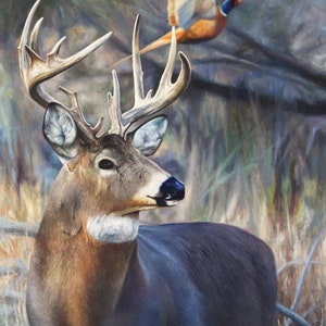 Beautiful Nature Whitetail Deer Art - Wildlife Painting - Western Decor Featuring a Pheasant in a Hunting Print on Canvas - Signed by Artist