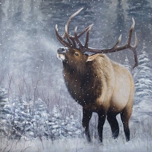 Majestic Bull Elk Winter Wildlife Art - Limited Edition Giclee Canvas Print Rustic Western Home Decor - Signed by Artist - #1/95