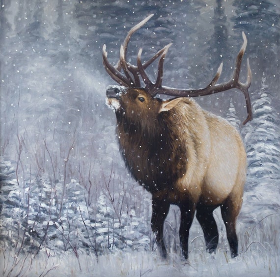 Majestic Bull Elk Winter Wildlife Art - Limited Edition Giclee Canvas Print Rustic Western Home Decor - Signed by Artist - #1/95