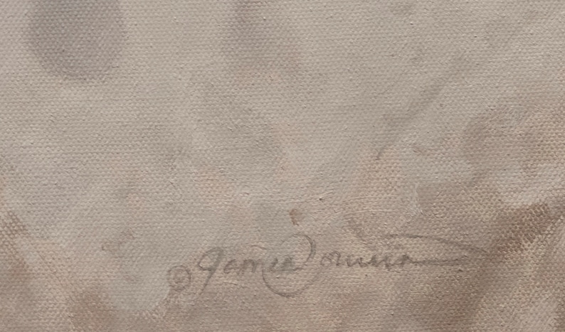 May include: A close-up of a light brown canvas with a handwritten signature that reads "James Oliver" in black ink.