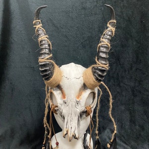 Máscara de demonio ancestral de cuernos largos / hueso blanco rojo / ritual vudú brujo médico chamán Halloween Wendigo
