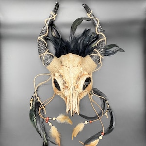 Ancestral Demon Horned Skull Mask | Faux Bone | Wendigo Shaman Witch Doctor Halloween