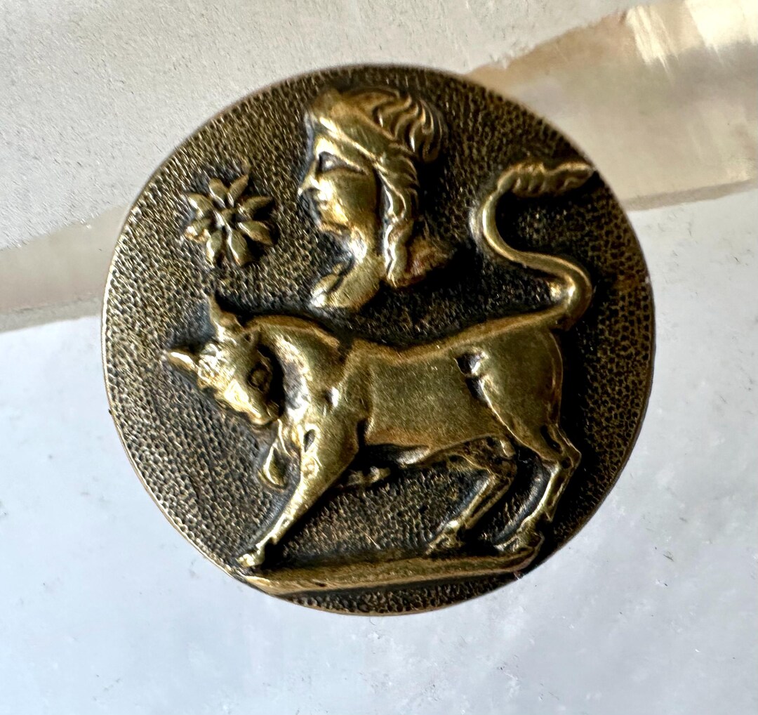 Antique Brass Bull Picture Button - Etsy