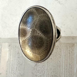 May include: An oval ring featuring a polished, tan and brown fossilized coral stone with a distinct radial pattern. The stone is set within a smooth, silver-toned metal bezel and band, showcasing a clean, metallic finish around the gemstone.