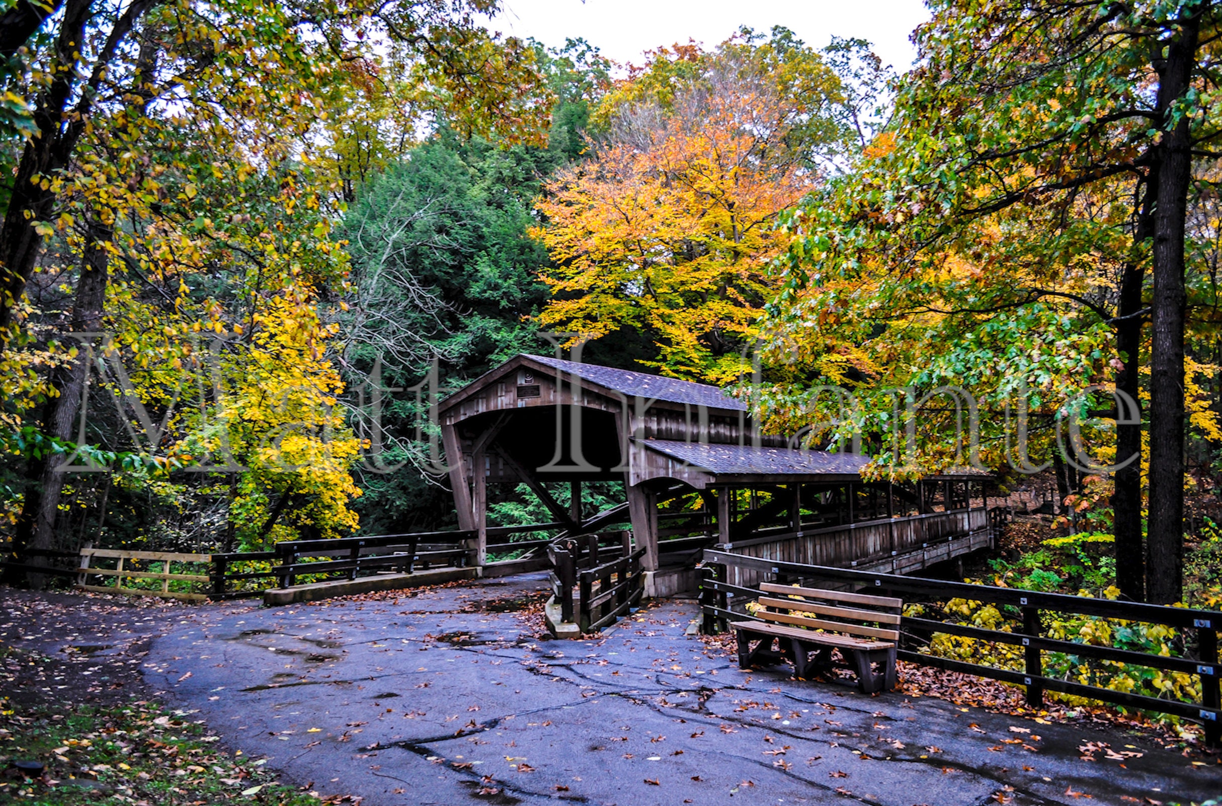 Youngstown's Mill Creek Park Covered Bridge