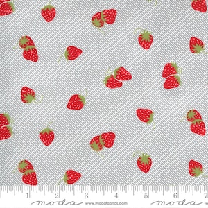 Sunday Stroll Berry Patch in Grey (55223 17) - Bonnie & Camille for Moda Fabrics