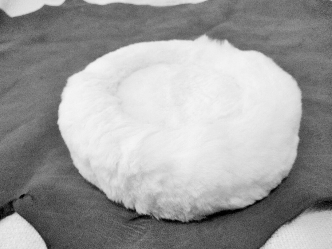 Vintage Union Made Plush Rabbit Fur Hat Martins Brooklyn Size Etsy