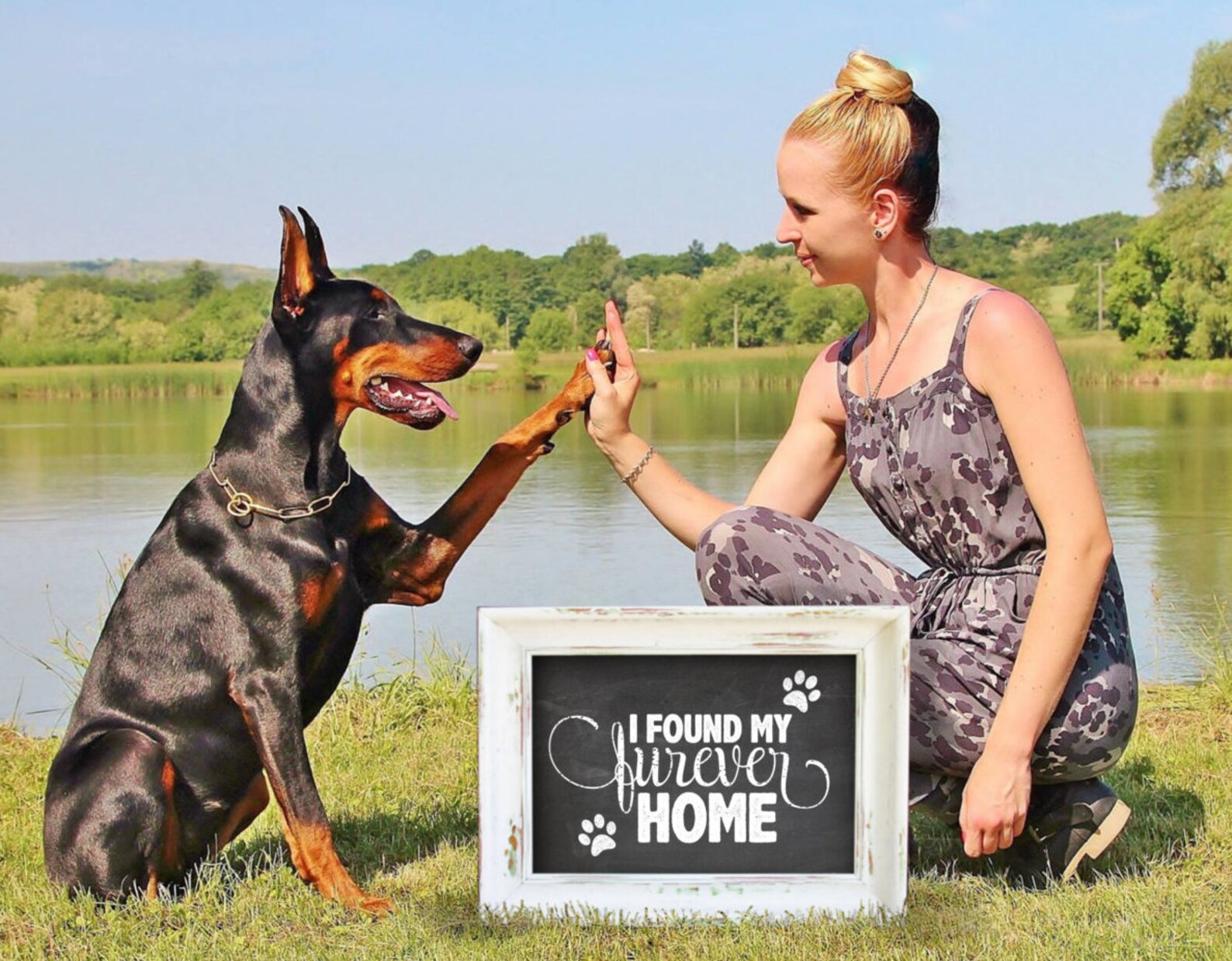 Printable Pet Adoption Sign Printable Photo Prop Furever - Etsy