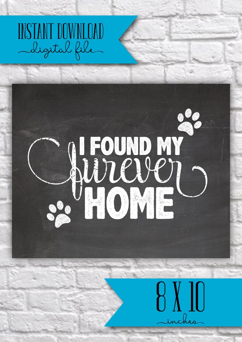 Printable Pet Adoption Sign Printable Photo Prop Furever - Etsy