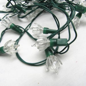 May include: A string of decorative lights featuring clear, flower-shaped plastic covers over each bulb. The bulbs are connected by a dark green electrical cord, creating a tangled arrangement of multiple light fixtures.