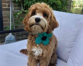 Harris Tweed Blumen Hundehalsband - Jade Grün (Dalmahoy)