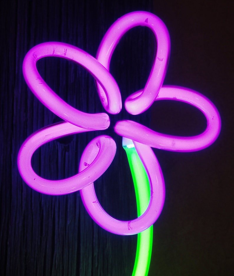 Neon Crayon Daisy 5 neon art image 4