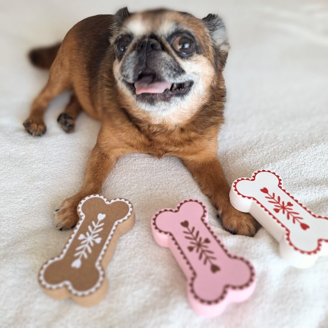 Bone Shaped Gift Box / Pet Gift Box/ Dog Treat Box/ Dog Birthday Etsy