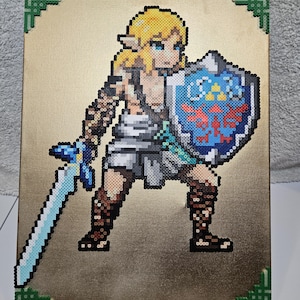 Tears of the Kingdom Link Perler Bead Canvas