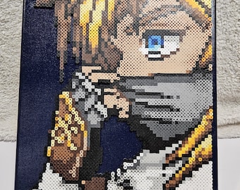 Breath of the Wild Sheikah Link Perler Bead Canvas