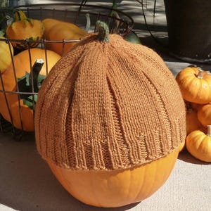 May include: A knitted orange pumpkin hat with a brown stem. The hat is sitting on top of a real pumpkin.