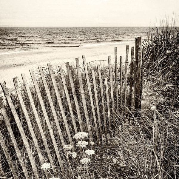 Vintage style Herring point at Cape Henlopen lewes Delaware photograph