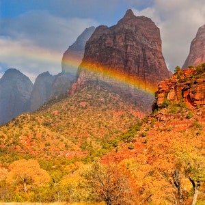 Rare photograph of rainbow in Zion national park canyon. image 2