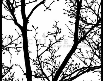 Tree Silhouette, Tree Photography, winter tree, Bare tree Photograph print