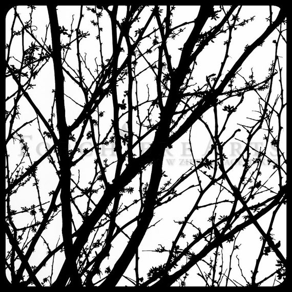 Tree Silhouette Red Bud Tree Photography Winter Tree Bare Etsy