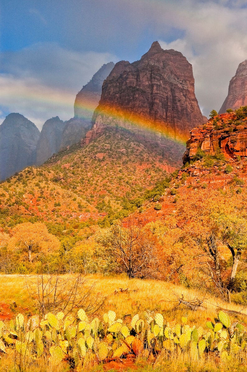 Rare photograph of rainbow in Zion national park canyon. image 1