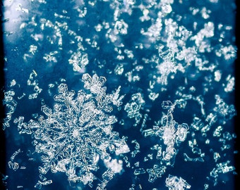 Macrophotographie de flocon de neige