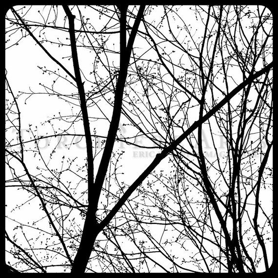 Tree Silhouette Tree Photography Winter Tree Bare Tree Etsy