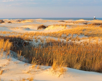 Cape Henlopen Delaware Beach Dunes with Lighthouse in the winter