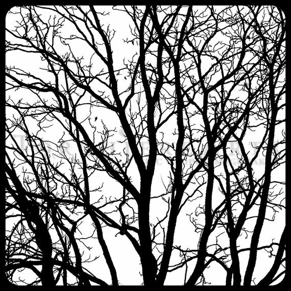 Tree Silhouette Tree Photography Winter Tree Bare Tree Etsy