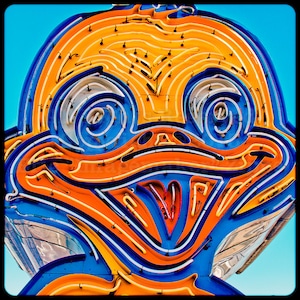May include: A neon sign of a cartoon duck with a bright orange beak and blue eyes. The sign is made of neon tubing and is lit up. The duck is smiling and has a happy expression.