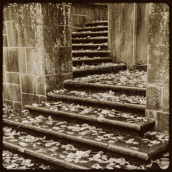 Black and White Stone Staircase at Winterthur Museum, Delaware Photography