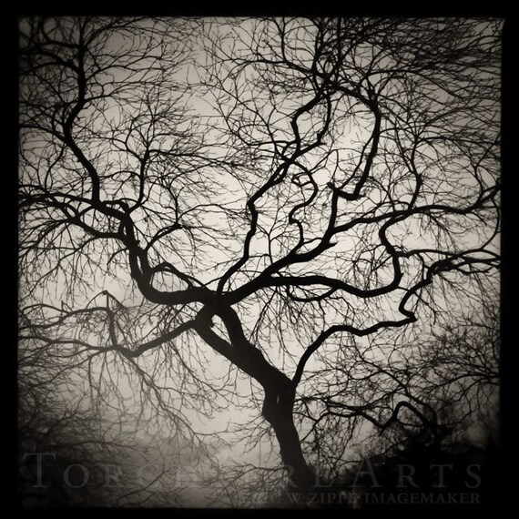 Zen Winter Tree Gray Tree Silhouette Art Bare Tree Twisted Etsy Zen Winter Tree Gray Tree Silhouette Art Bare Tree Twisted Etsy