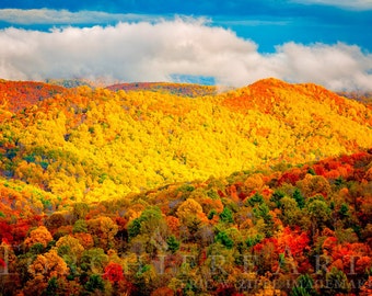 Fall Landscape Photography, Autumn Mountains, Autumn Colors, Shenandoah National Park Virginia, Blue Ridge Mountain Photography 8x12 Print