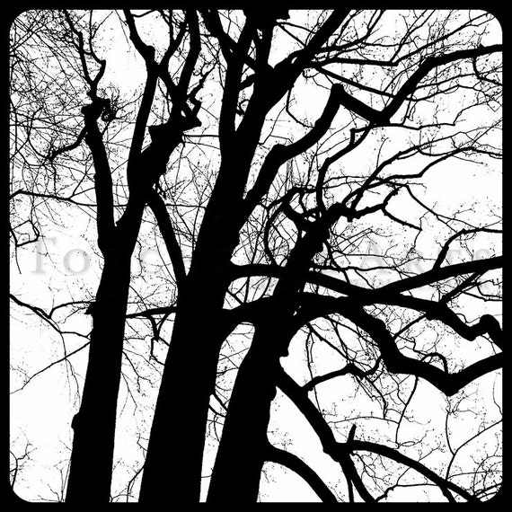 Tree Silhouette Tree Photography Winter Tree Bare Tree Etsy