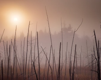 Foggy Landscape Photograp of shaw pond in the Adirondacks 8x12 Print