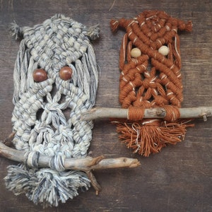 Do It Yourself Kits, Macrame Owl Kit Beginner, Macrame Wall Hanging Craft  Kit for Adults and Kids 