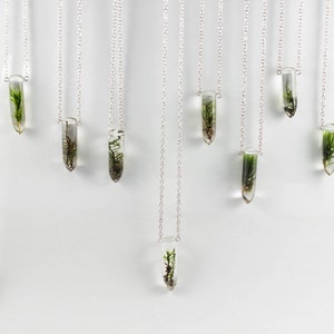 Moss Specimen Necklace - Botanical Jewelry, Terrarium Necklace, Forest Jewelry, Real Moss Resin, Folk Fashion, Gifts for Nature Lovers