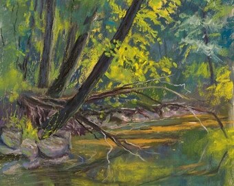 Warm Sunshine - A Giclee Print of an Original Pastel Painting created en plein air by Rochester, NY artist, Colette Savage