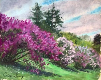 Rochester Lilacs - Giclee Print