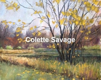 October Wind - Original Art Pastel Painting by plein air pastel painter, Colette Savage