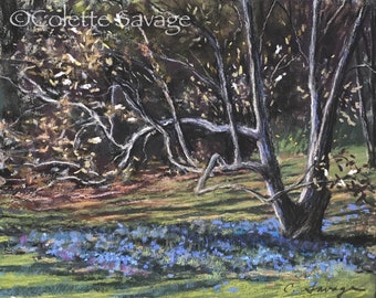 Magnolias Opening - Giclee Print of an Original Pastel Painting by Colette Savage