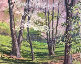 Reflections on a Spring Day - An original pastel painting created en plein air by Rochester, NY artist, Colette Savage