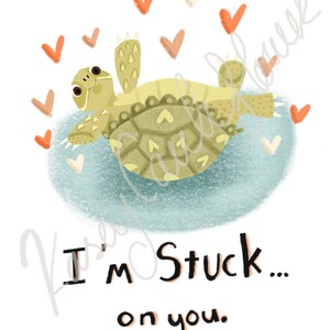 Mix Pack Tortoise Valentines Cards 6 or 12 image 6