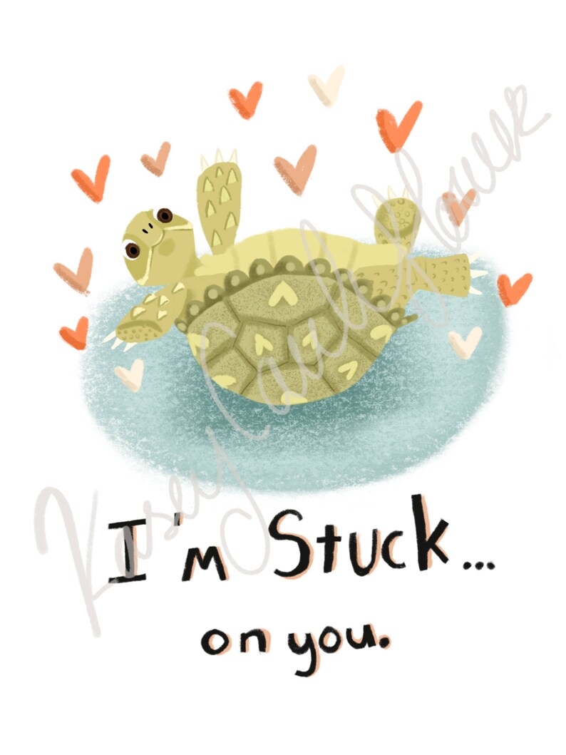 Mix Pack Tortoise Valentines Cards 6 or 12 image 6