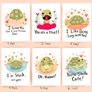Mix Pack Tortoise Valentines Cards 6 or 12 image 1