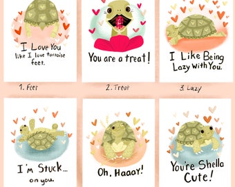 Mix Pack Tortoise Valentines Cards 6 or 12